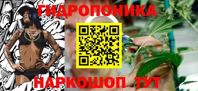 прущие грибы Бугуруслан