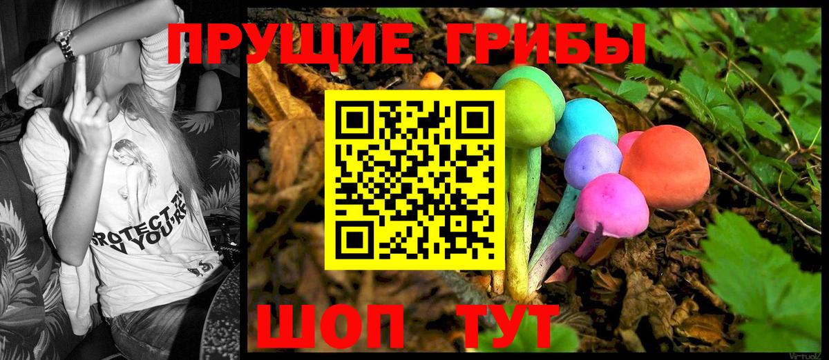Псилоцибиновые грибы GOLDEN TEACHER  Вход с VPN  Слободской  Псилоцибиновые грибы Cubensis 